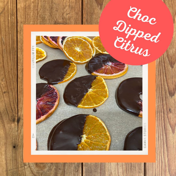 Chocolate Dipped Dried Mandarin or Oranges