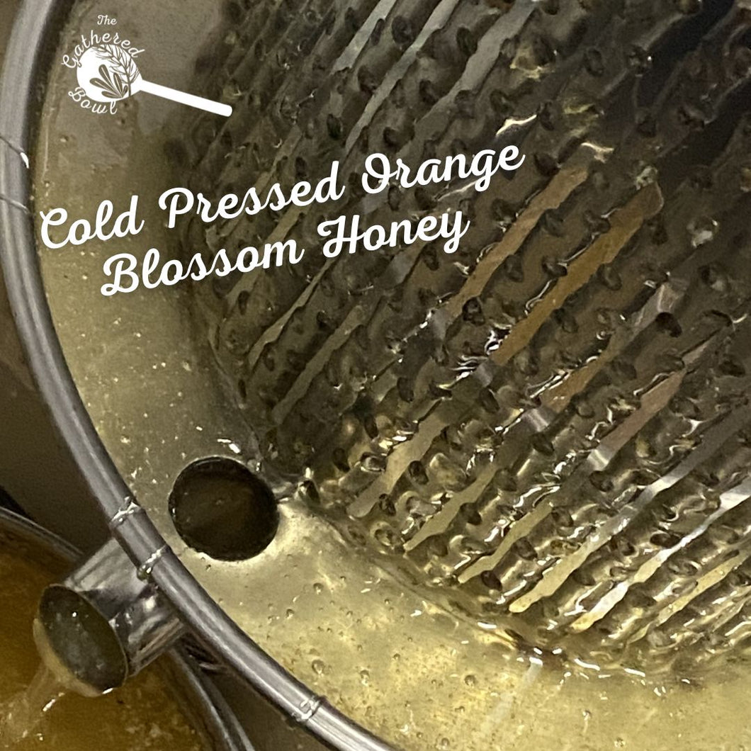 Cold Pressed Orange Blossom Honey