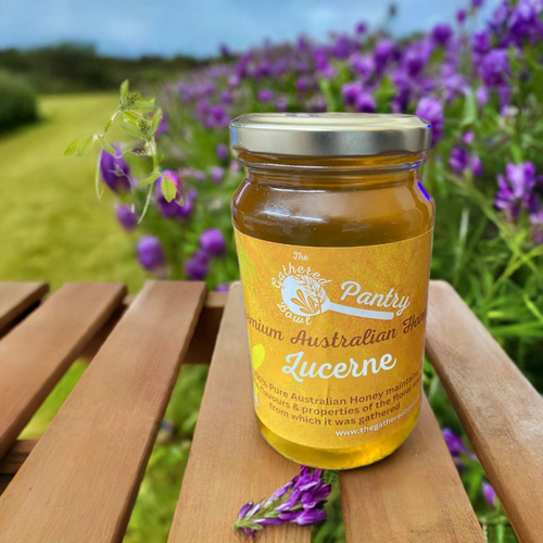 The Gathered Bowl single source lucee honey with flowering lucerne plants in the background